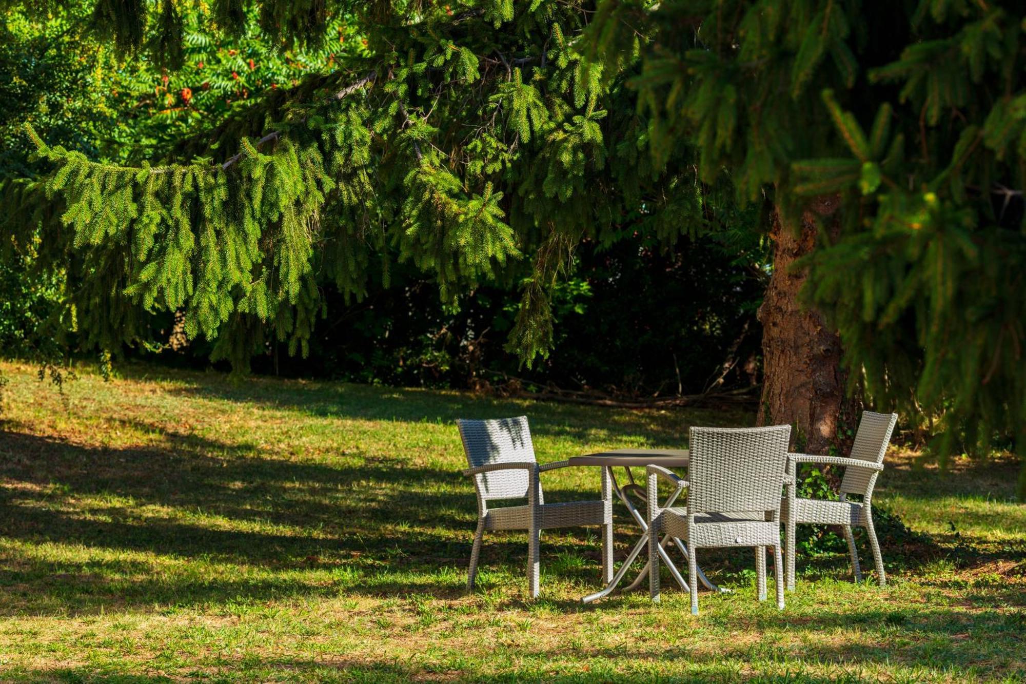 Logis Hotel Noemys Morgon Villié-Morgon المظهر الخارجي الصورة